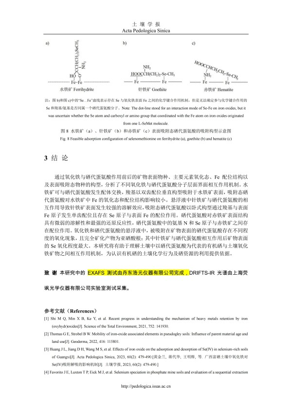 表面光谱-能谱技术解析氧化铁与硒代蛋氨酸的相互作用特征.pdf_12.jpg